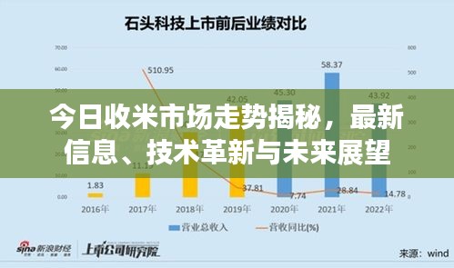 今日收米市場走勢揭秘，最新信息、技術(shù)革新與未來展望