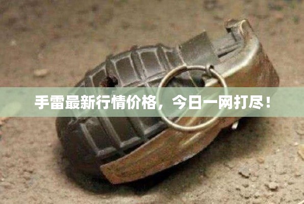 手雷最新行情價格，今日一網打盡！