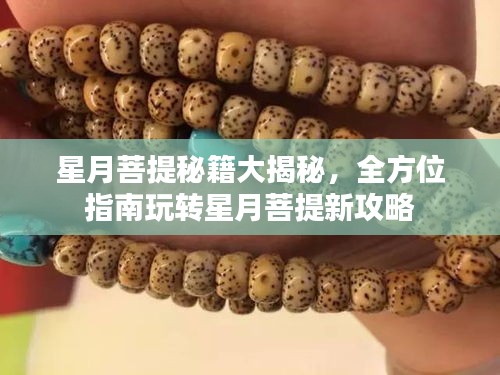 星月菩提秘籍大揭秘，全方位指南玩轉(zhuǎn)星月菩提新攻略