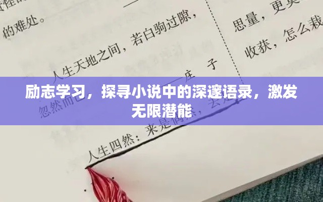 勵志學(xué)習(xí)，探尋小說中的深邃語錄，激發(fā)無限潛能