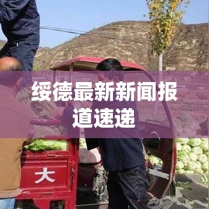 綏德最新新聞報道速遞