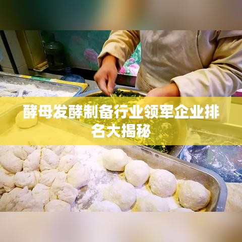 酵母發(fā)酵制備行業(yè)領軍企業(yè)排名大揭秘