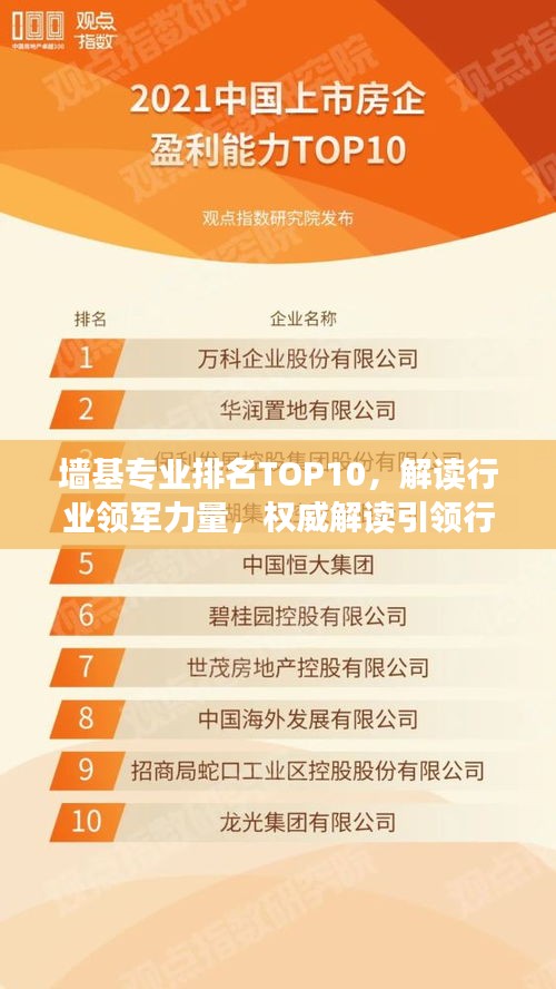 墻基專業(yè)排名TOP10，解讀行業(yè)領(lǐng)軍力量，權(quán)威解讀引領(lǐng)行業(yè)風(fēng)向！