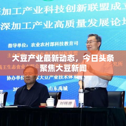 大豆產(chǎn)業(yè)最新動態(tài)，今日頭條聚焦大豆新聞