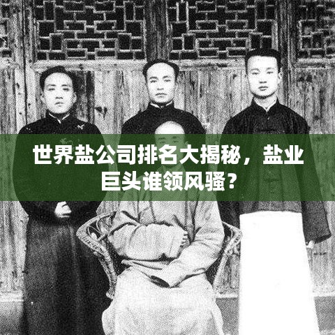世界鹽公司排名大揭秘，鹽業(yè)巨頭誰領(lǐng)風(fēng)騷？