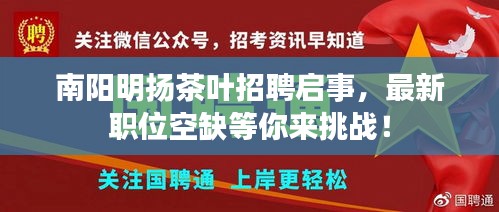 南陽明揚(yáng)茶葉招聘啟事，最新職位空缺等你來挑戰(zhàn)！