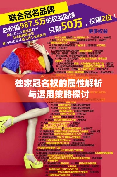 獨家冠名權(quán)的屬性解析與運用策略探討