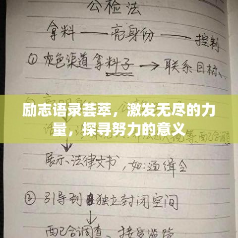 勵志語錄薈萃，激發(fā)無盡的力量，探尋努力的意義