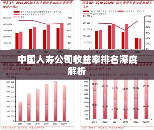 中國(guó)人壽公司收益率排名深度解析