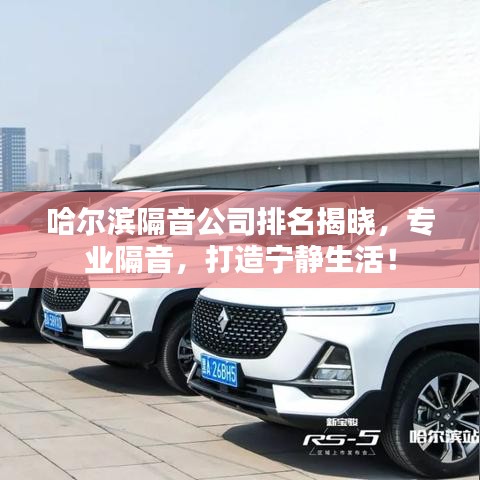 哈爾濱隔音公司排名揭曉，專業(yè)隔音，打造寧靜生活！