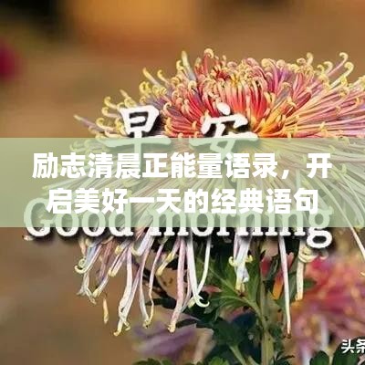 勵志清晨正能量語錄，開啟美好一天的經(jīng)典語句