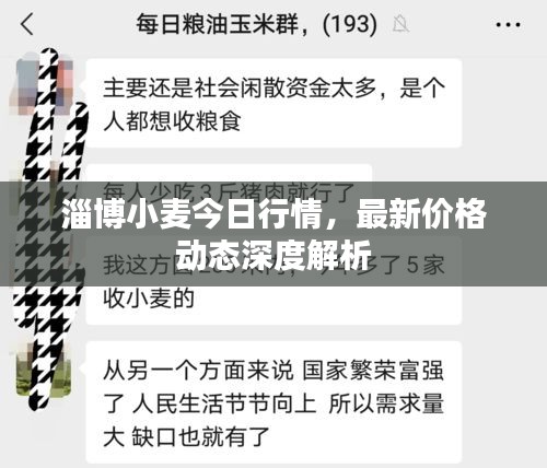 淄博小麥今日行情，最新價(jià)格動(dòng)態(tài)深度解析