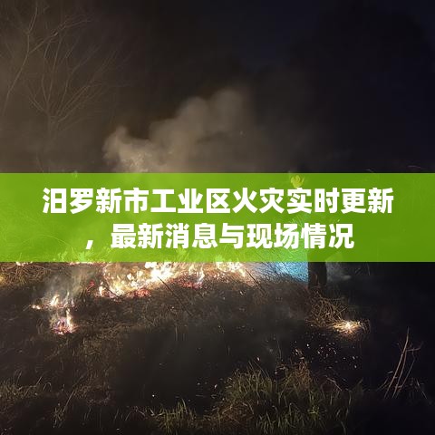 汨羅新市工業(yè)區(qū)火災實時更新，最新消息與現(xiàn)場情況