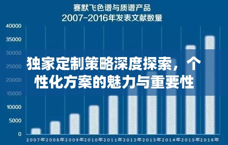 獨家定制策略深度探索，個性化方案的魅力與重要性