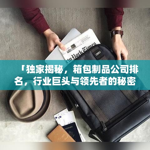 「獨(dú)家揭秘，箱包制品公司排名，行業(yè)巨頭與領(lǐng)先者的秘密大曝光！」
