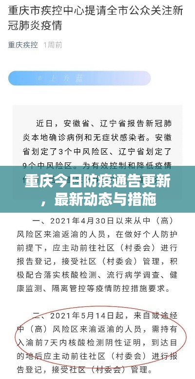 重慶今日防疫通告更新，最新動態(tài)與措施
