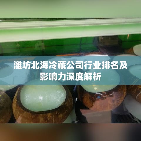 濰坊北海冷藏公司行業(yè)排名及影響力深度解析