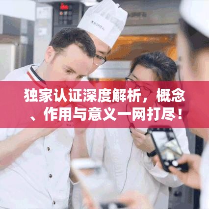 獨家認(rèn)證深度解析，概念、作用與意義一網(wǎng)打盡！
