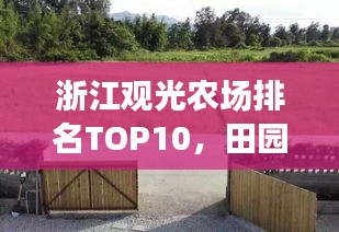 浙江觀光農(nóng)場排名TOP10，田園樂趣首選之地