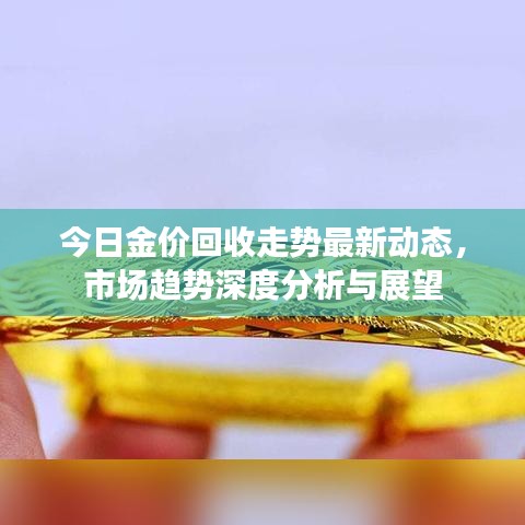 今日金價回收走勢最新動態(tài)，市場趨勢深度分析與展望