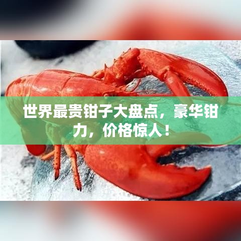 世界最貴鉗子大盤點，豪華鉗力，價格驚人！