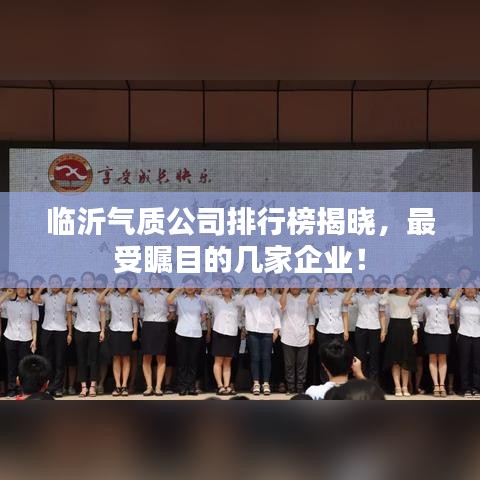 臨沂氣質(zhì)公司排行榜揭曉，最受矚目的幾家企業(yè)！