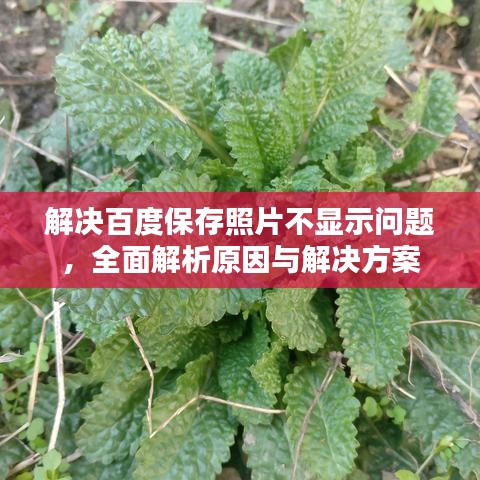 解決百度保存照片不顯示問題，全面解析原因與解決方案