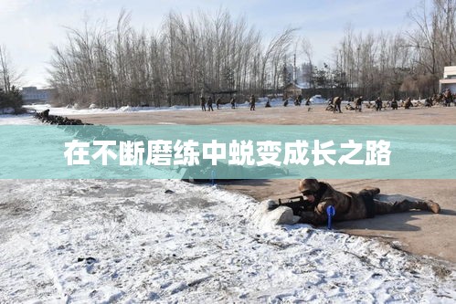 在不斷磨練中蛻變成長之路