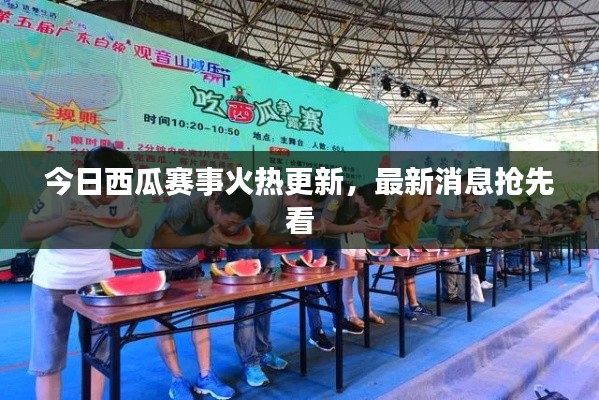 今日西瓜賽事火熱更新，最新消息搶先看