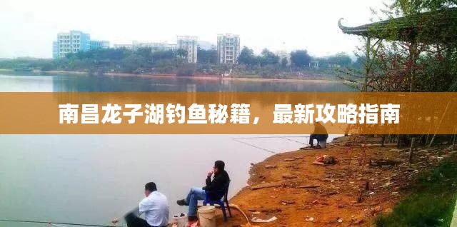 南昌龍子湖釣魚秘籍，最新攻略指南
