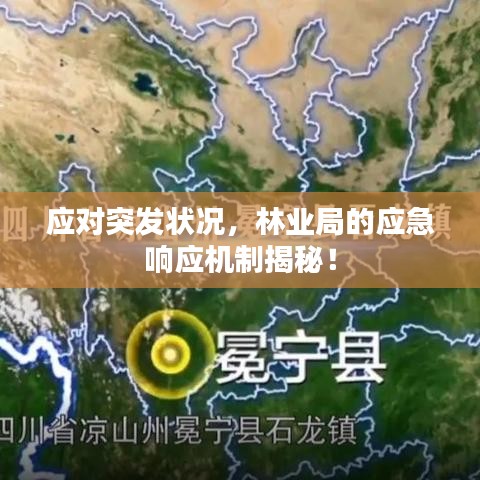 應(yīng)對突發(fā)狀況，林業(yè)局的應(yīng)急響應(yīng)機(jī)制揭秘！