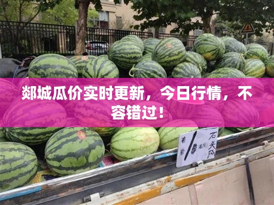郯城瓜價實時更新，今日行情，不容錯過！