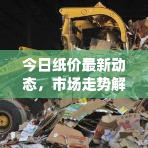 今日紙價(jià)最新動(dòng)態(tài)，市場(chǎng)走勢(shì)解析與行情分析