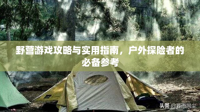 野營(yíng)游戲攻略與實(shí)用指南，戶(hù)外探險(xiǎn)者的必備參考