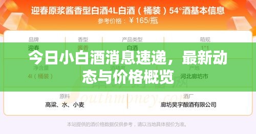 今日小白酒消息速遞，最新動(dòng)態(tài)與價(jià)格概覽
