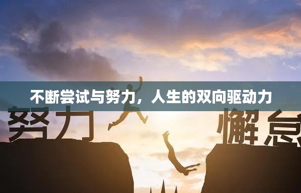 不斷嘗試與努力，人生的雙向驅(qū)動力
