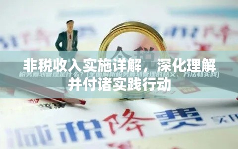 非稅收入實施詳解，深化理解并付諸實踐行動