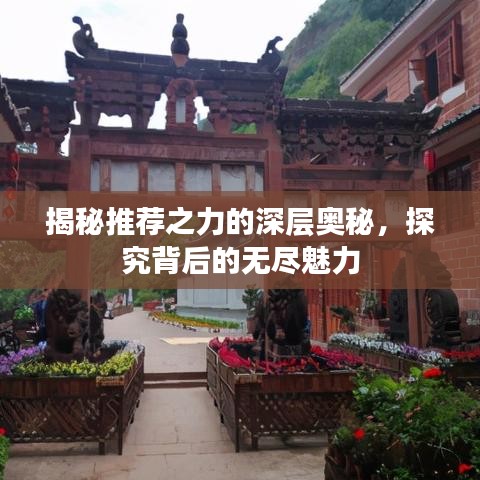 揭秘推薦之力的深層奧秘，探究背后的無盡魅力