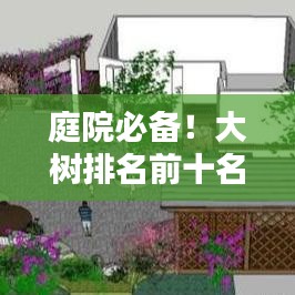 庭院必備！大樹排名前十名，讓你的院子更有格調(diào)！