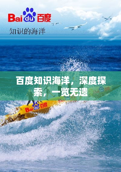 百度知識海洋，深度探索，一覽無遺