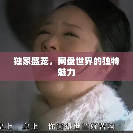 獨家盛寵，網(wǎng)盤世界的獨特魅力