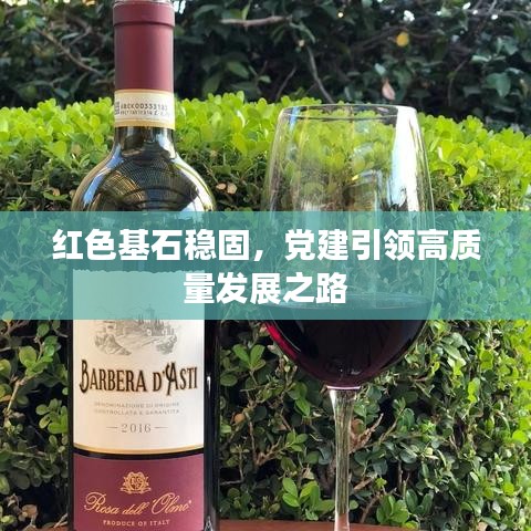 紅色基石穩(wěn)固，黨建引領(lǐng)高質(zhì)量發(fā)展之路