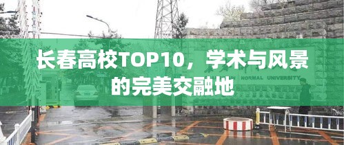 長春高校TOP10，學術(shù)與風景的完美交融地