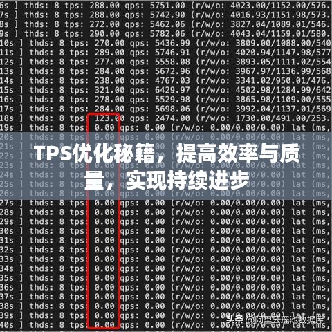 TPS優(yōu)化秘籍，提高效率與質(zhì)量，實現(xiàn)持續(xù)進步