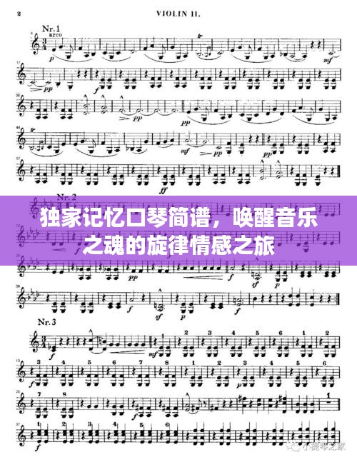 獨家記憶口琴簡譜，喚醒音樂之魂的旋律情感之旅