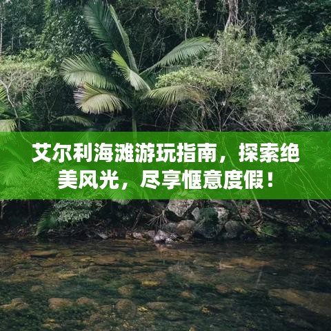 艾爾利海灘游玩指南，探索絕美風(fēng)光，盡享愜意度假！