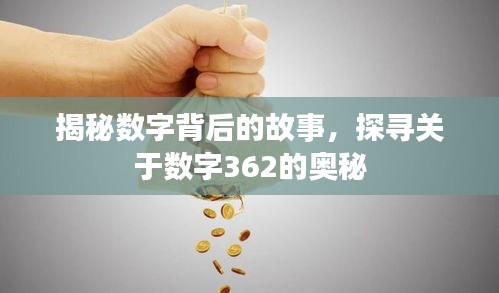 揭秘?cái)?shù)字背后的故事，探尋關(guān)于數(shù)字362的奧秘