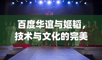 百度華誼與姬韜，技術(shù)與文化的完美交融之旅