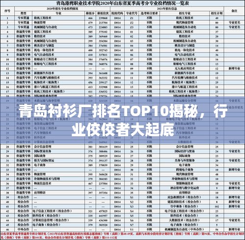 青島襯衫廠排名TOP10揭秘，行業(yè)佼佼者大起底