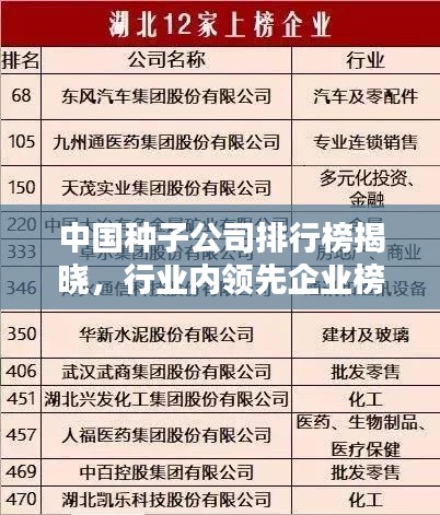 中國種子公司排行榜揭曉，行業(yè)內(nèi)領(lǐng)先企業(yè)榜單揭秘！